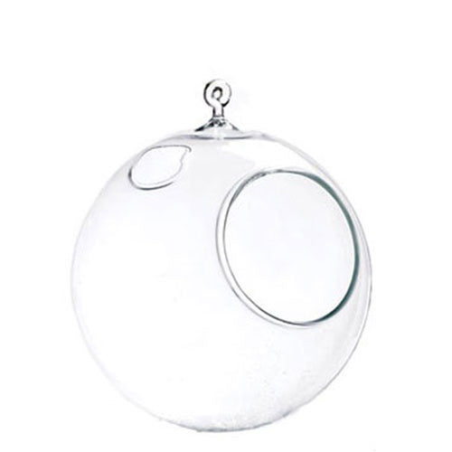hanging bubble plant glass hanging bubble terrarium medium 6" x 7" - grounded | modern living