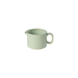 bay leaf