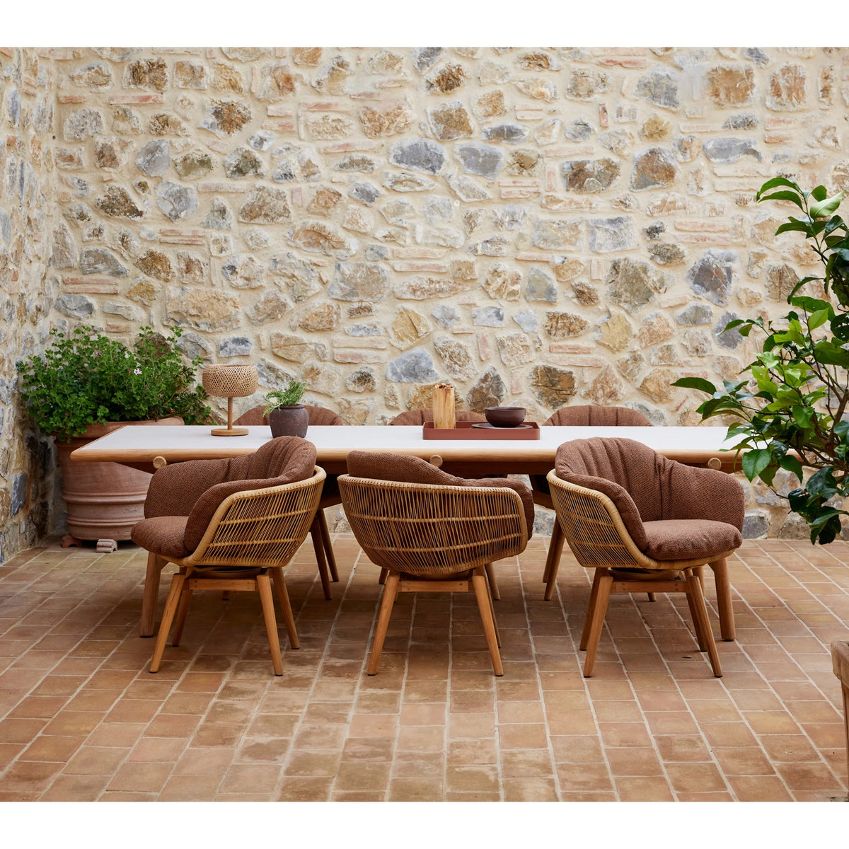 Stay chair w/teak swivel