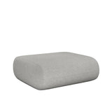 Light Grey ( 0110)