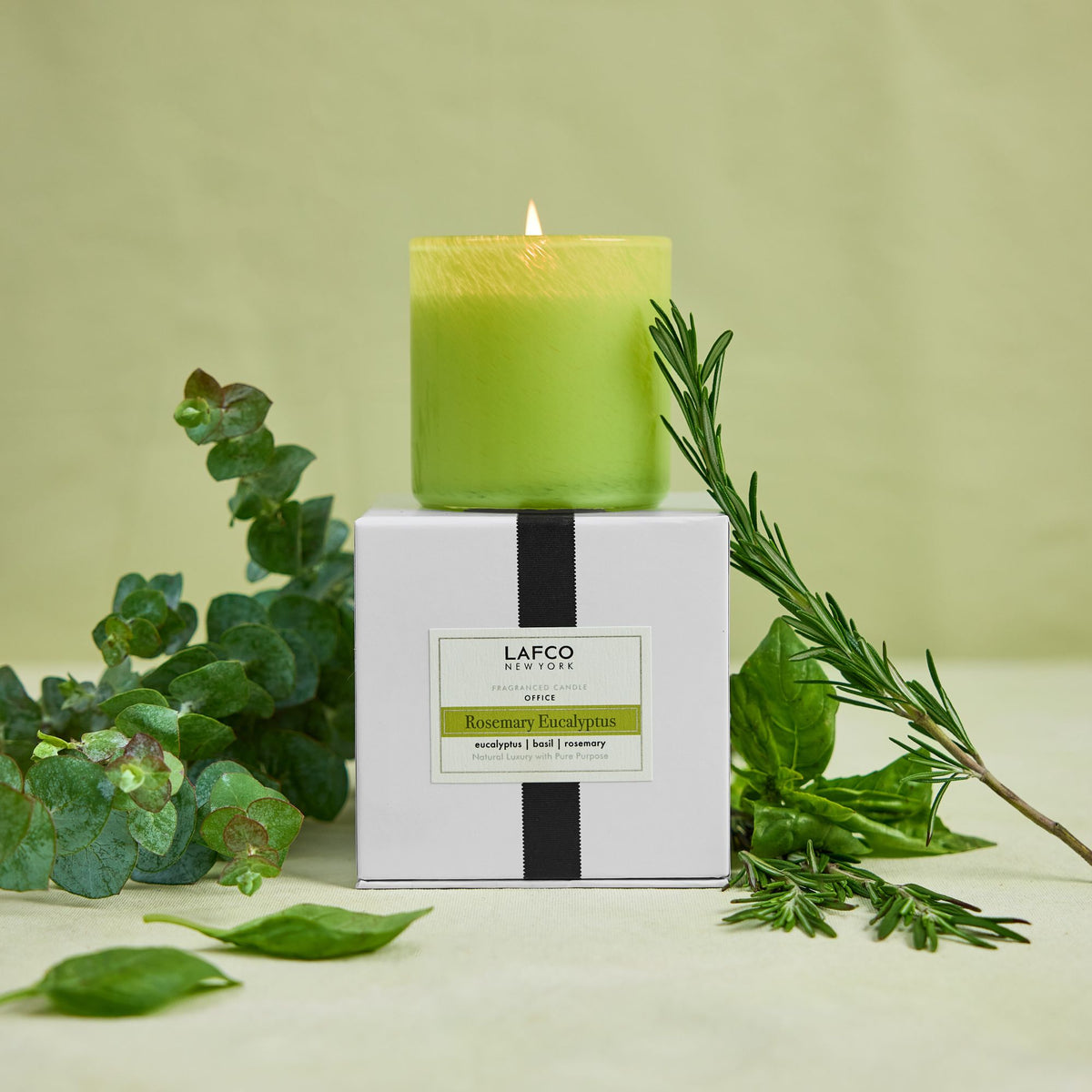 rosemary eucalyptus signature candle 15.5 oz