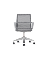 Mineral intercept mesh / mineral frame / silver-alloy base