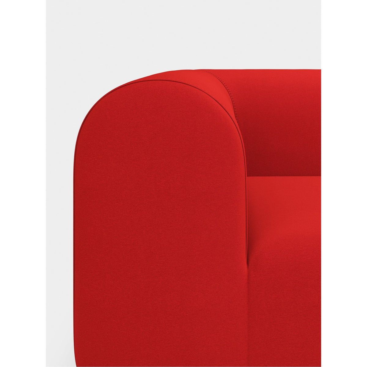 Plump 2.5-Seater Fixed Sofa