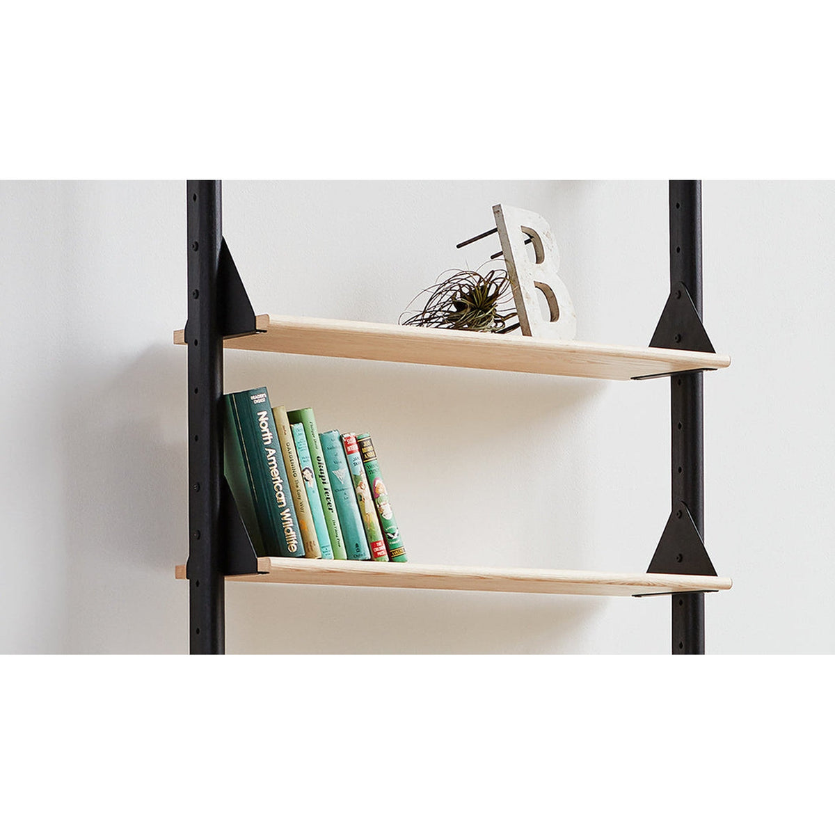 Branch Shelves 3 Pack