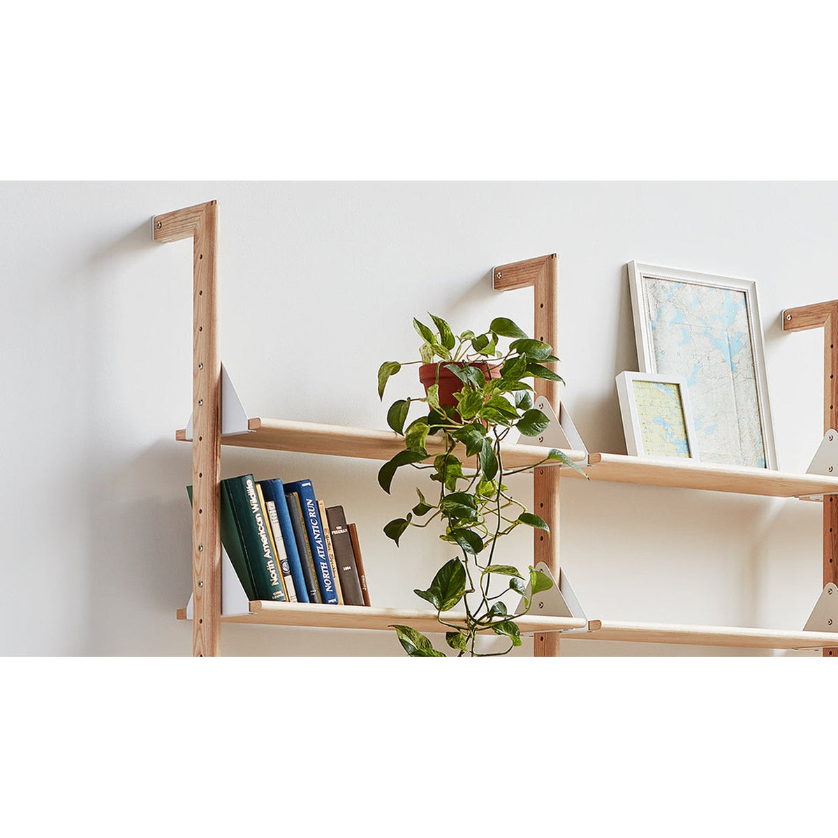 Branch Shelves 3 Pack