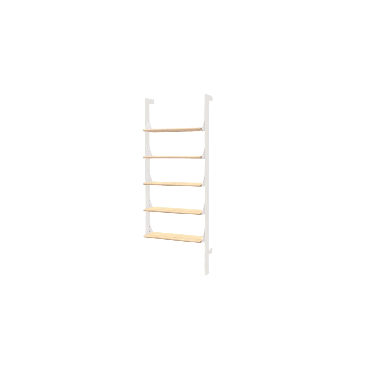 Branch Shelves 5 Pack