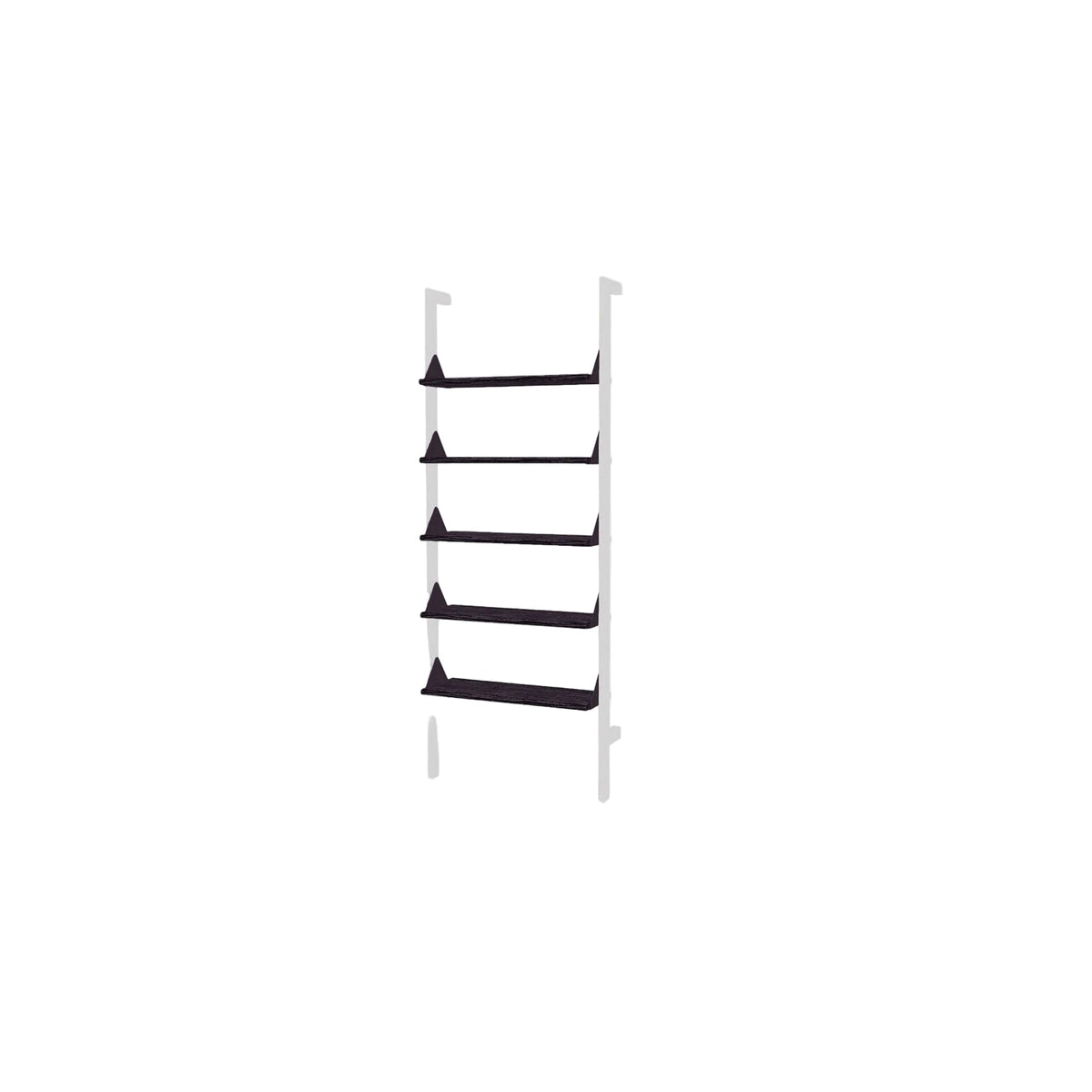Branch Shelves 5 Pack