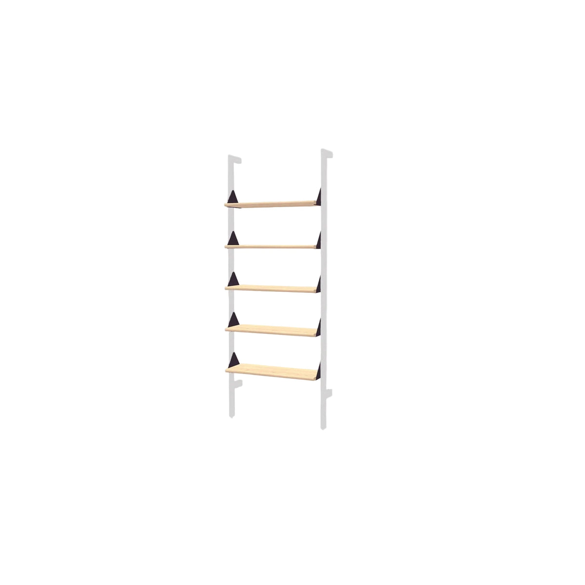 Branch Shelves 5 Pack