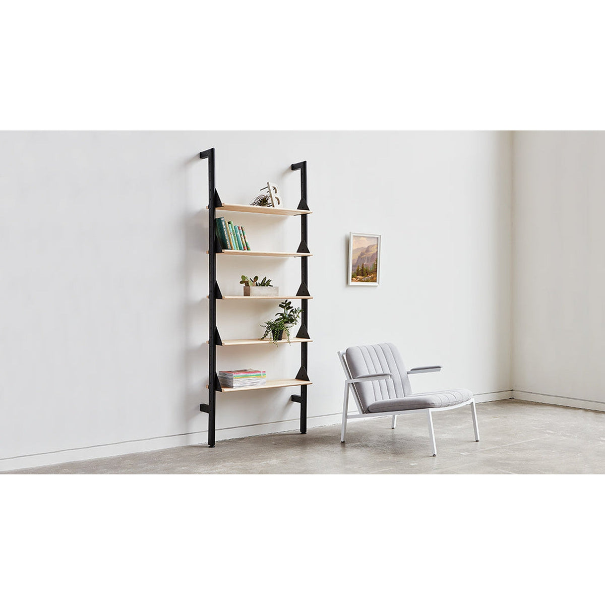 Branch Shelves 5 Pack