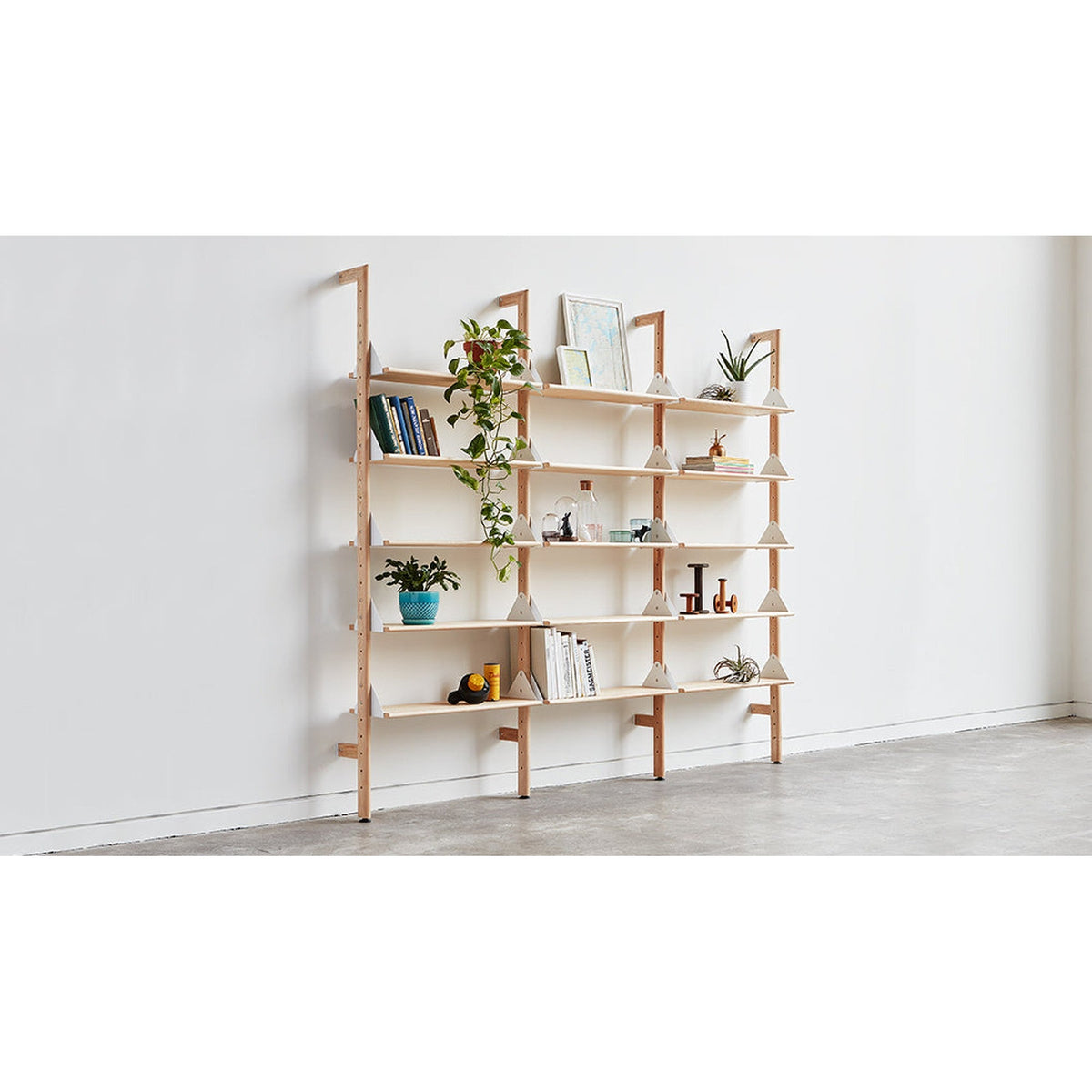 Branch Shelves 5 Pack