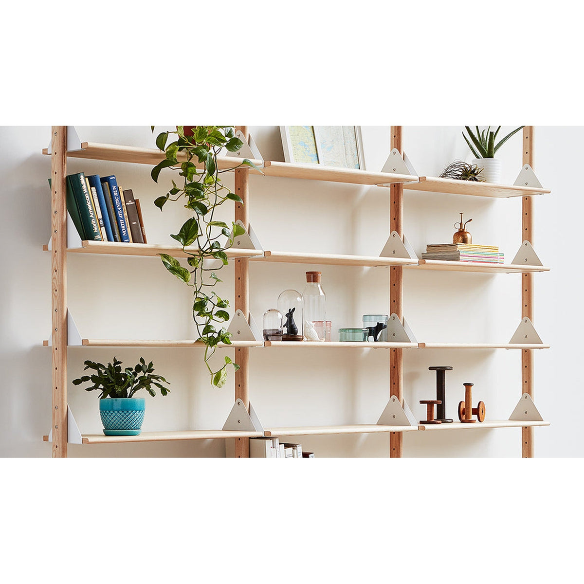 Branch Shelves 5 Pack