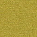Boucle Chartreuse