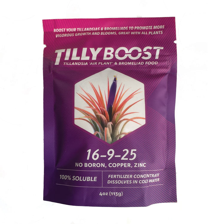 tillandsia air plant fertilizer Tilly Boost Airplant Fertilizer