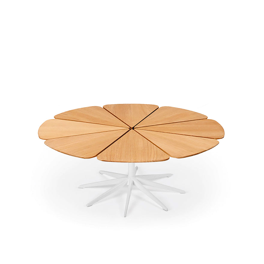 Petal Coffee Table with Teak Top By Richard Schultz