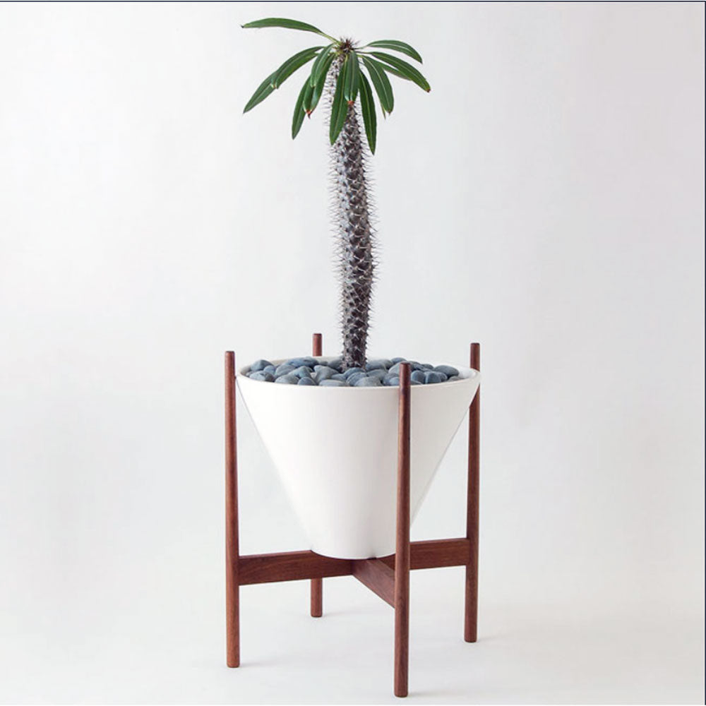 architectural pot plants architectural pottery s4 planter and walnut stand - grounded | modern living