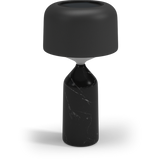 Carbon